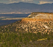 Vertsection Imagine Vertsection Imagine